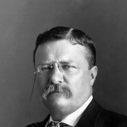 L'ex presidente degli Stati Uniti Theodore Roosevelt. © Congress Library pnp_ppmsca.35645