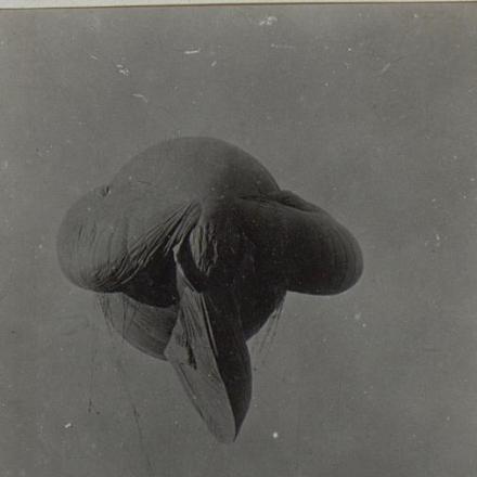 Un pallone frenato austriaco. © bildarchivaustria.at_Preview_15658376.jpg